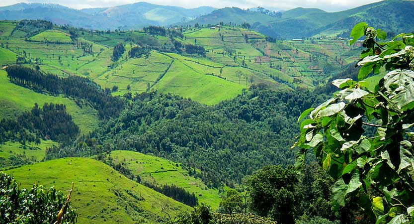 Gishwati-Mukura National Park