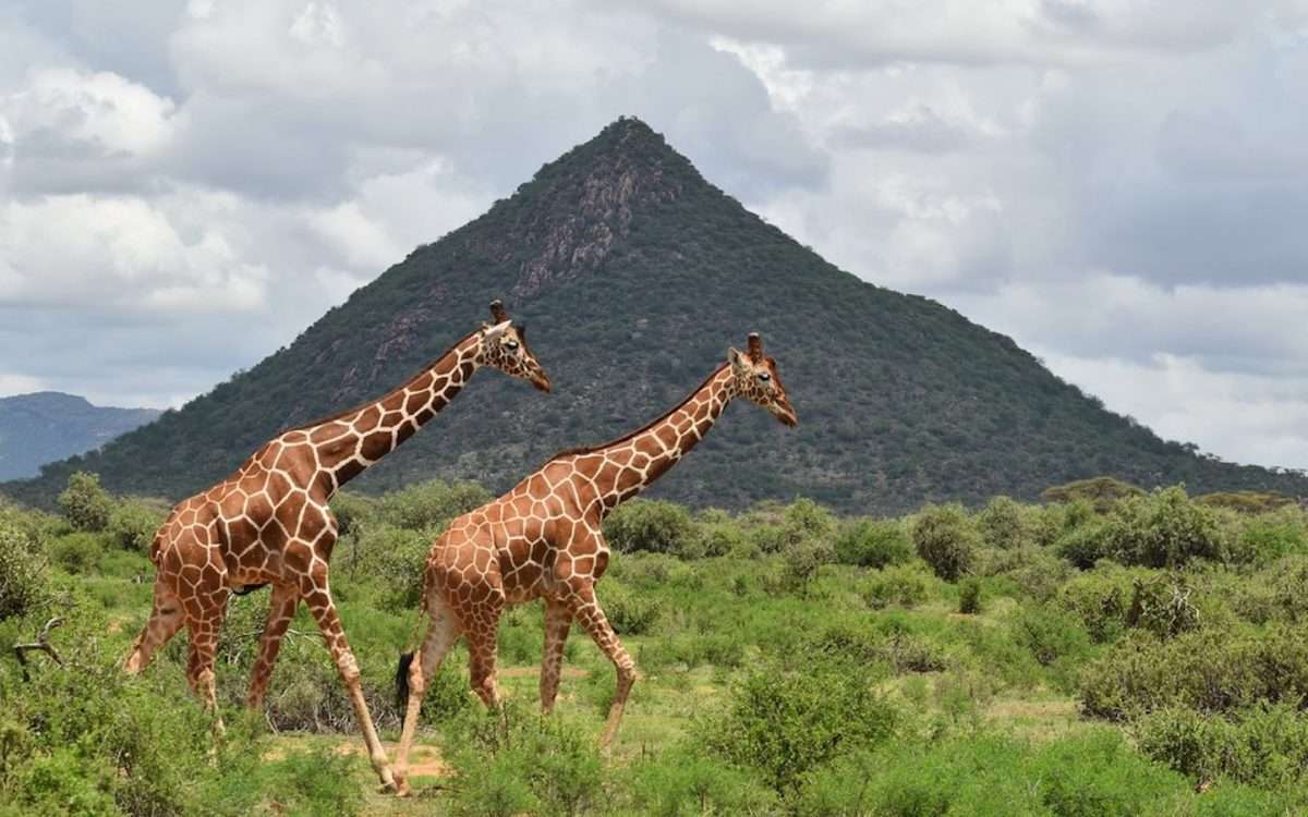 Samburu National Reserve2