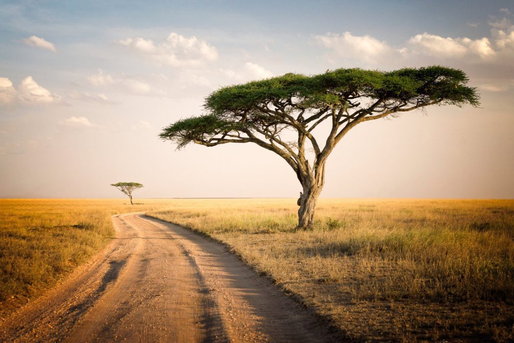 Serengeti National Park4