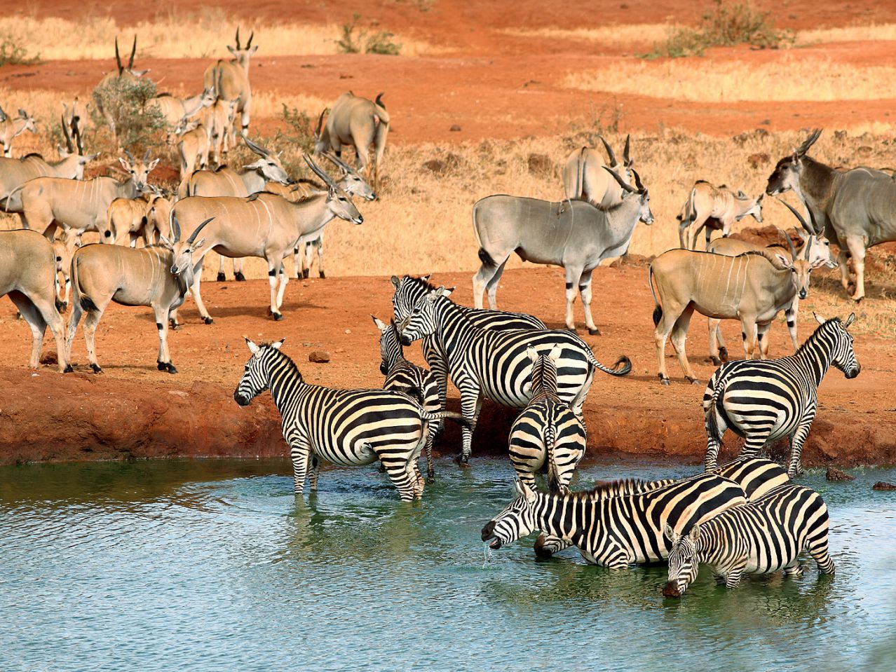 Tsavo West National Park3