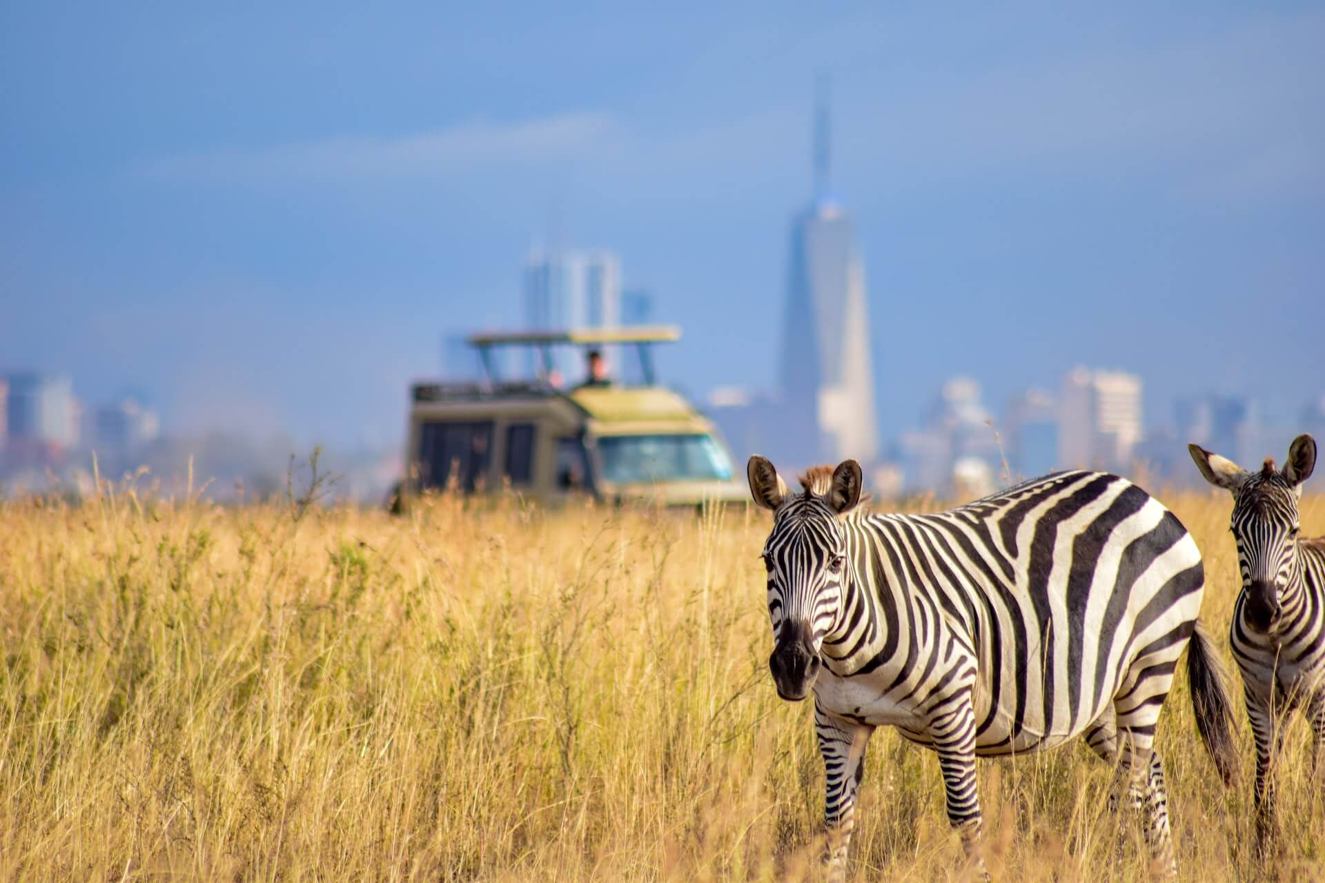 Nairobi-National-Park-8