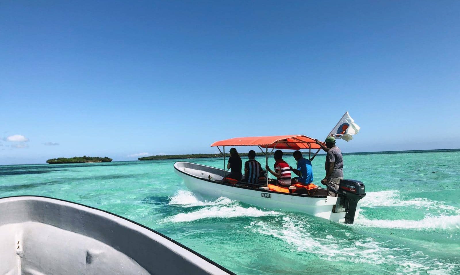 Dolphin Watching Zanzibar