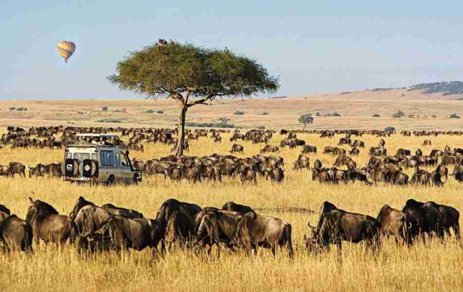 Masai-Mara-Kenya-best-Kenya-wildlife-wildebeest-Migration-safari-tour.jpg