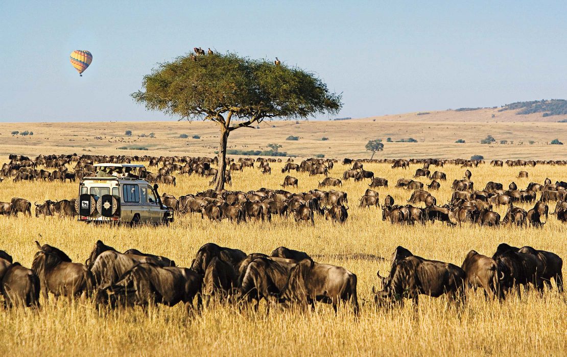 Masai Mara Kenya best Kenya wildlife & wildebeest Migration safari tours