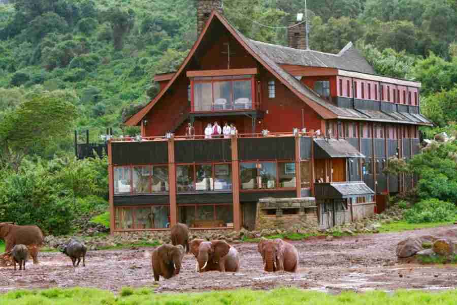 The-Ark-Lodge-Aberdare-National-Park-in-Kenya.jpg