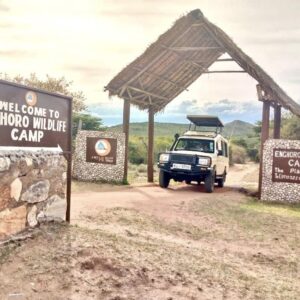 Enchoro Wildlife Camp Masai Mara