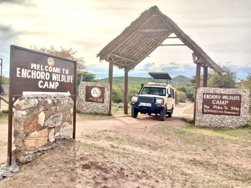 Enchoro Wildlife Camp Masai Mara
