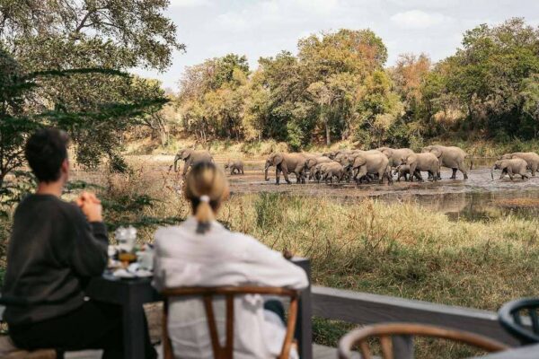 14 Days 13 Nights Kenya and Tanzania Safari with a Zanzibar Beach Extension