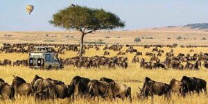 4 Days 3 Nights Maasai Mara Safari Itinerary