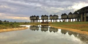 Tsavo national park