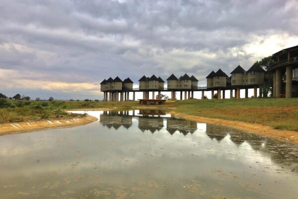 Tsavo national park