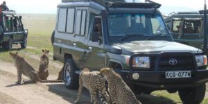 kenya and tanzania safari itinerary