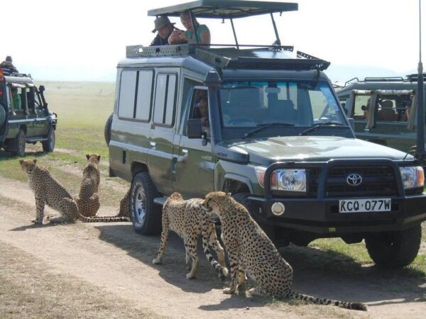 kenya and tanzania safari itinerary
