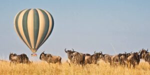 masai mara luxury fly in safari