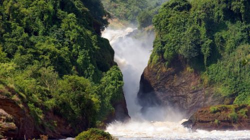 Murchison Falls National Park1