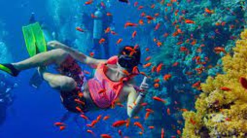 Snorkeling and Diving Zanzibar